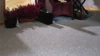 Comfort Home