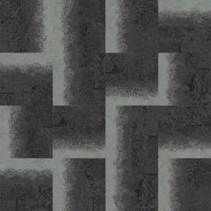 327111 Charcoal-lichen