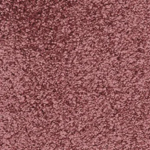 Fletco Bichon 325640