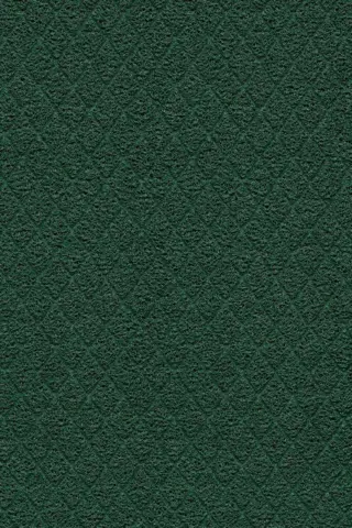 Coral Grip HD 