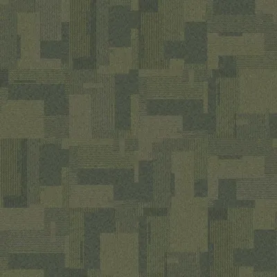 Pasture