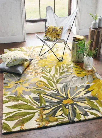 Maize 44906