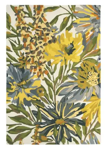 Maize 44906
