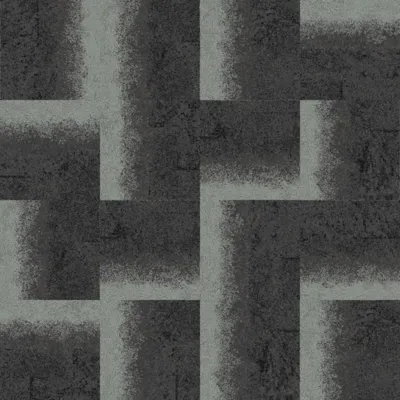327111 Charcoal-lichen