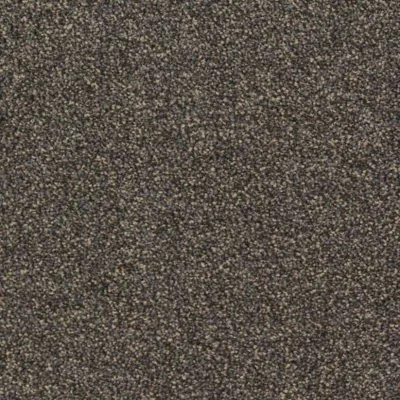 9095