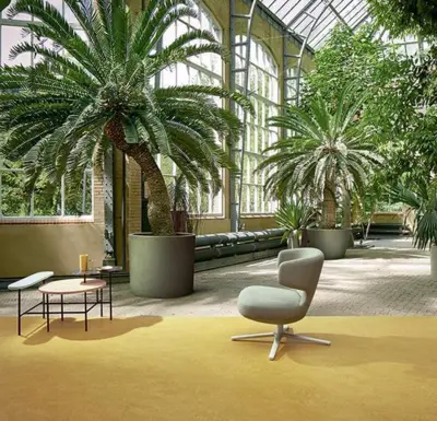 Marmoleum Fresco - Mustard