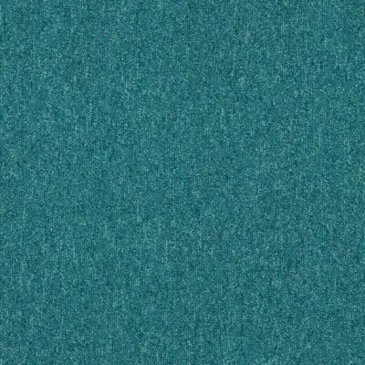 Reef