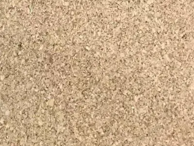 LVT vinylklik - Kingsize, Lys Natur - Sildeben 185
