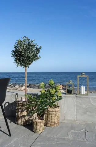 Kunstigt Skimma træ