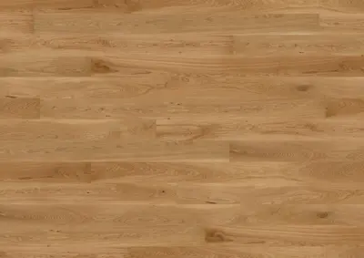 Ter Hürne, Tailored Collection, Plank, Oak Molinaria