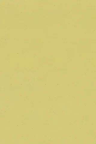 Daffodil