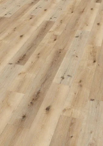 Ter Hürne, Friends Oak Carl, plank