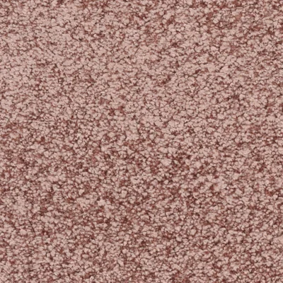 Fletco Bichon 325620