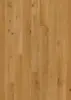 BOEN Eg Animoso, Plank 