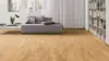 Haro parketgulv - Eg Trend børstet nD