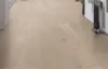 FloorMaster Herregårdsplank - Eg hvid mat lak 260 mm.