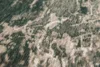 Dark Pine 8723