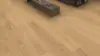 Haro plankegulv - Eg Invisible Markant børstet nD