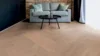 Sildeben Collection, Oak Amrum