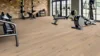 Ter Hürne, Tailored Collection, Plank, Oak Cremant