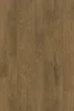 11582
