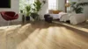 DISANO Plankegulve XL - Eg Whistler Nature