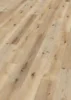 Ter Hürne, Friends Oak Carl, plank