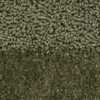121607 Olive