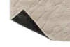 121604 Oyster