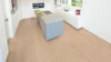 Wood Edition Comfort, Long plank, Oak Berlin