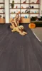 KIWI Now laminatgulv, Black Oak - RESTPARTI