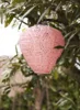 Greatham LED Lanterne - Rose