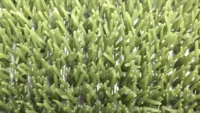 Astroturf måtte grøn 