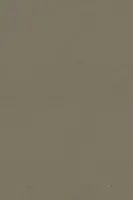 Safestep R11 