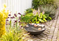 Fleuriste gråt Vandblomst-Fad